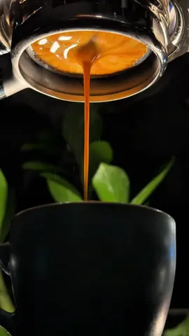 هزمتني #عبدالمجيدعبدالله #مجيد #بدون_موسيقي #معرض_القهوة_والشوكولاته #your_coffee 
