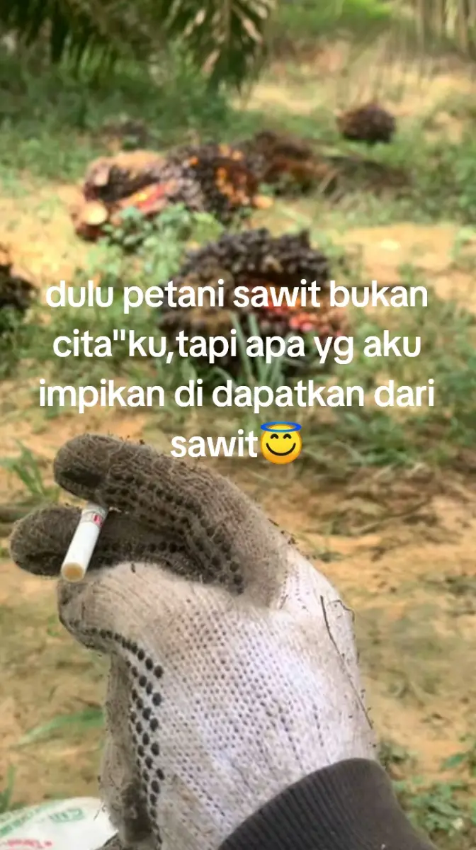 😇🌴 #petanisawit#petanimuda#sawitontiktok#foryourpage#xyzbca#fyp#fypシ゚ 
