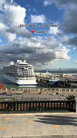 #fyp #viral #dz #tik_tok #العاصمة🇩🇿 🇩🇿🇩🇿