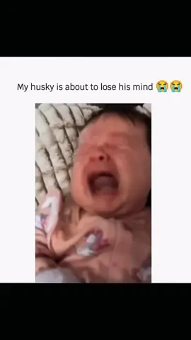 Funny and cute dogs compilation 🤣 🐕 #funnydog #funnypet #cutedog #dogsoftiktok #dog 