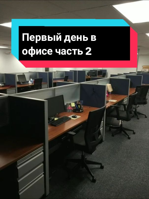 Первый день на офисе часть 2. Пишите коо сделать следующим?)#офисы #работакиевофис #офисники #приколыофис #днепрэтоофисы #работамечты #работакиев 