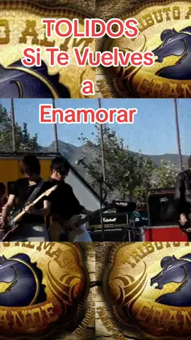 TOLIDOS _ Si te Vuelves a Enamorar #punkrock #2000s #vira #poppunk #rock #tolidos #tributoalmasgrande 