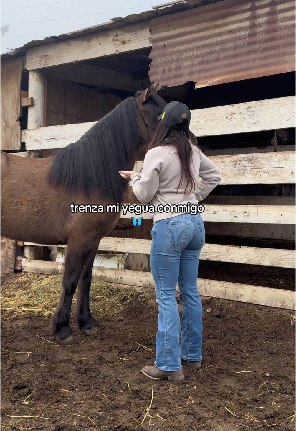 el amor mas bonito 🤎 #caballos #yegua #horse #horses 