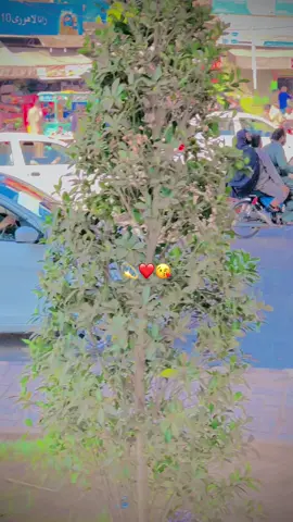 #سنگت_ویڈیو_وائرل_کریسو_آپ_ہیں🥀🌼🙈✨🎇 #foryiu #pageforyou 