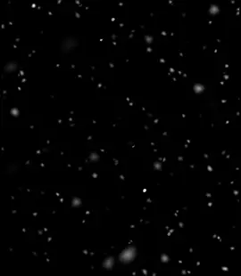 الدنيا جاي عل الجدع#احمد_موزه #explore #الريتش❤️⚡واقع #حالات_واتس #fouryou #four #تصميم_فيديوهات🎶🎤🎬 #el3omda #abn_aleamdi #الشعب_الصيني_ماله_حل😂😂 