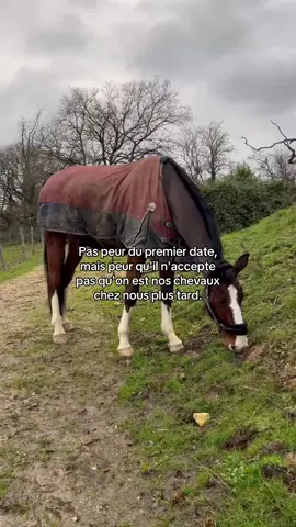 🫶🫶#fyp #horse #pourtoii #equitation #cheval #trends #cavalier 