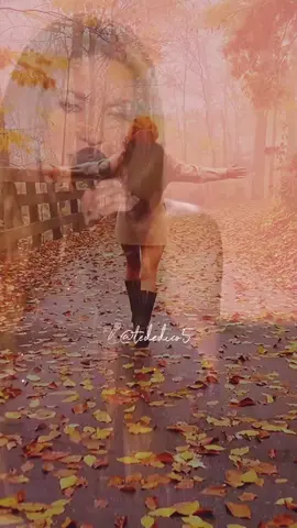 #hayquereirsedelavida #shakira #acrosticoshakira #fyp 