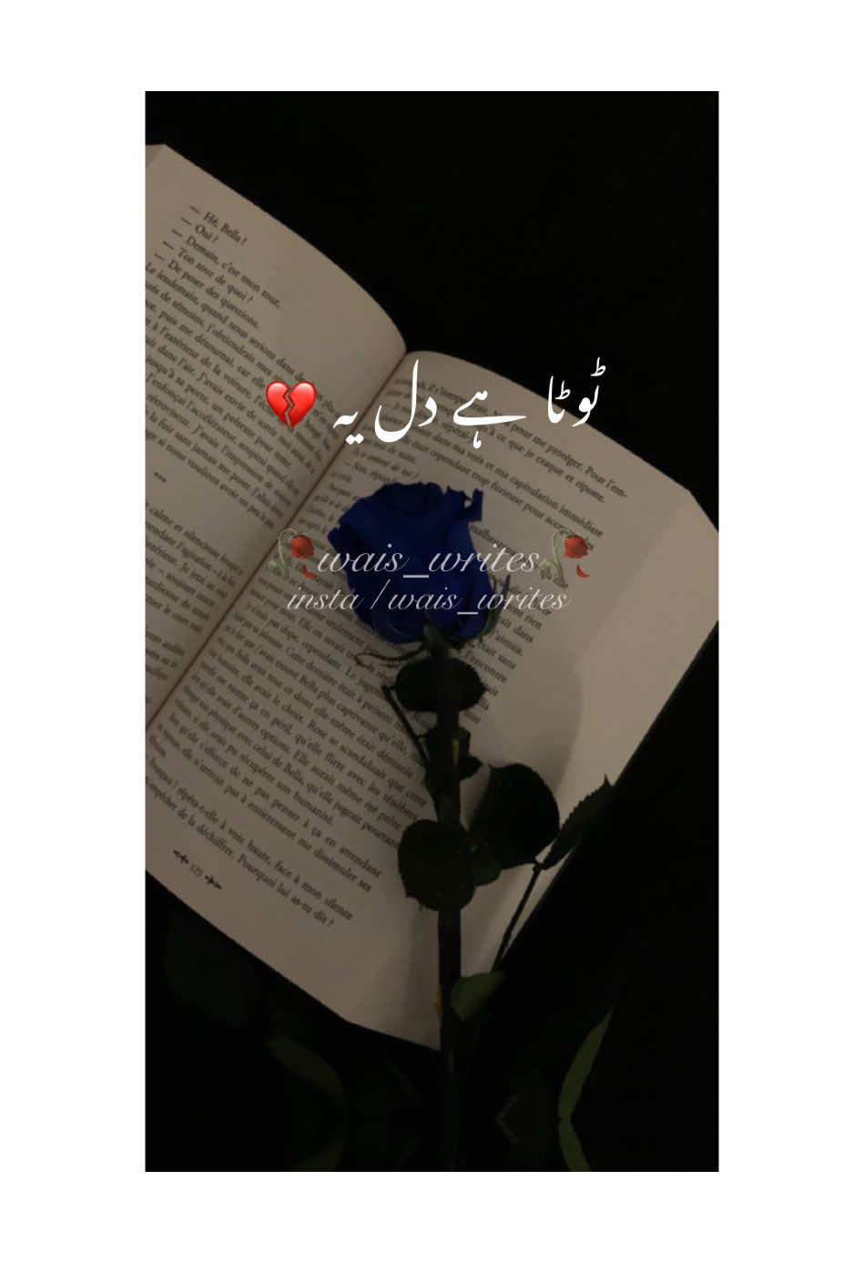 میرے مرنے کے بعد...!    