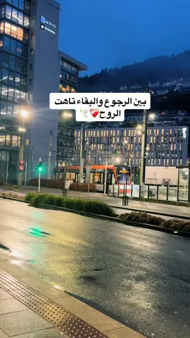 #بين #الرجوع #و #البقاء #تاهت #الروح #اكسبلور #explore #غربه #الروح #سوريا #اوربا 