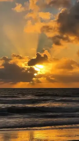 تمر علينا لحظات نكتفي بالصمت والنظر للحياة وكأننا لسنا منها... 🖤 #🎶🎵🎼 