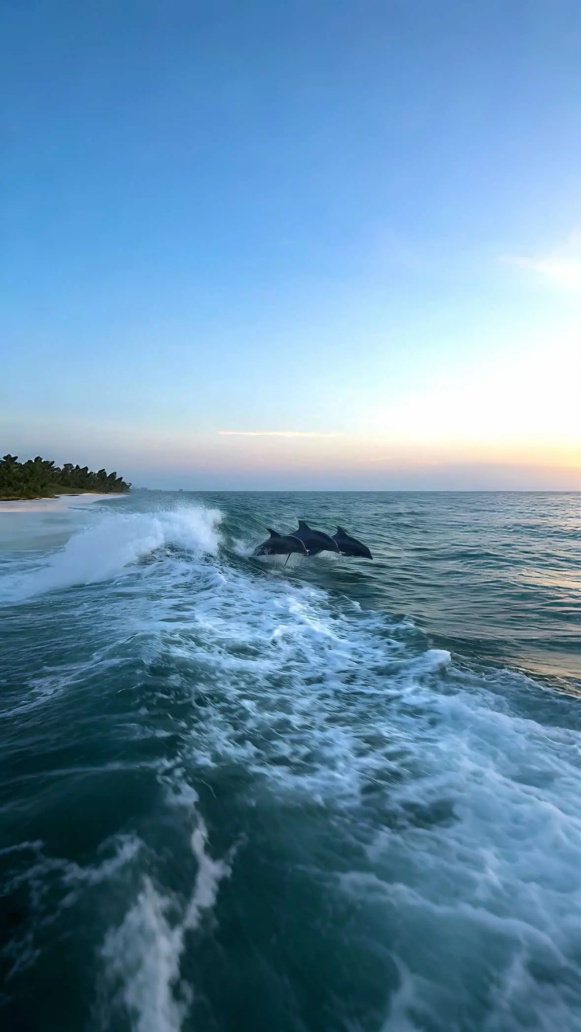 #fyp #foryoupage #travel #explore #zanzibar 