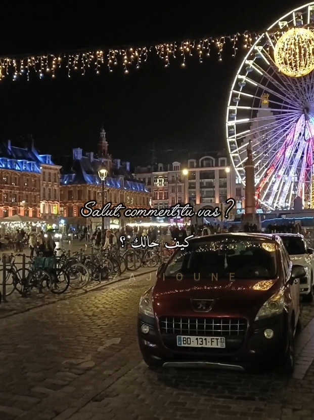 #salut #salut #helene #hélèneségara #geo#chanson #chansonfrançaise #اغاني #اغاني_فرنسية #lille #ballade #france #hiver #nöel #noel #أغاني#ليل #مدينة 