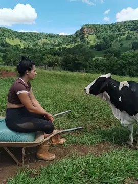 #zezedicamargoeluciano #explore #vidanaroça #sertanejo  #boiadeira 