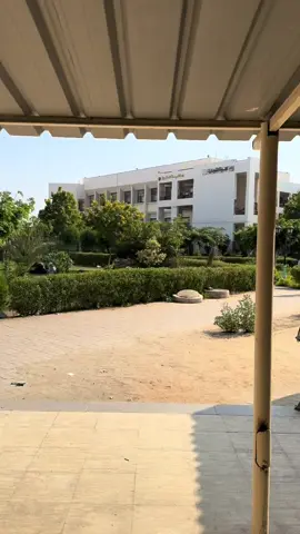 #كليه_الحقوق_جامعه_السادات ❤️