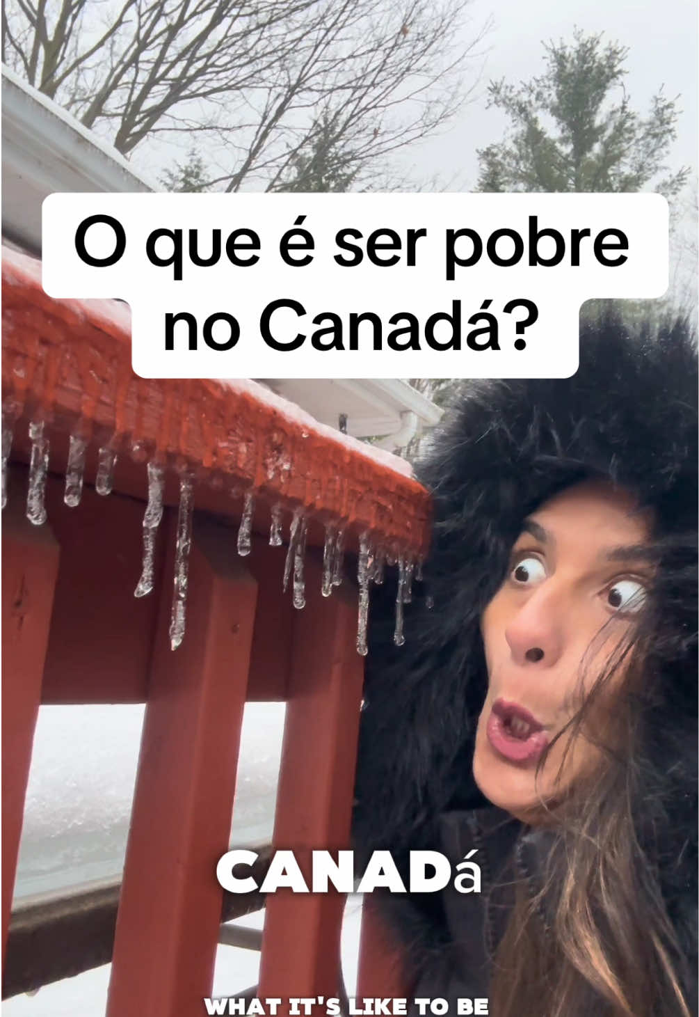 Pensa o mesmo? 🇨🇦🇧🇷🇦🇴❤️ #brasileirosimigrantes #vidadeimigrante #vidaderico #pobre 