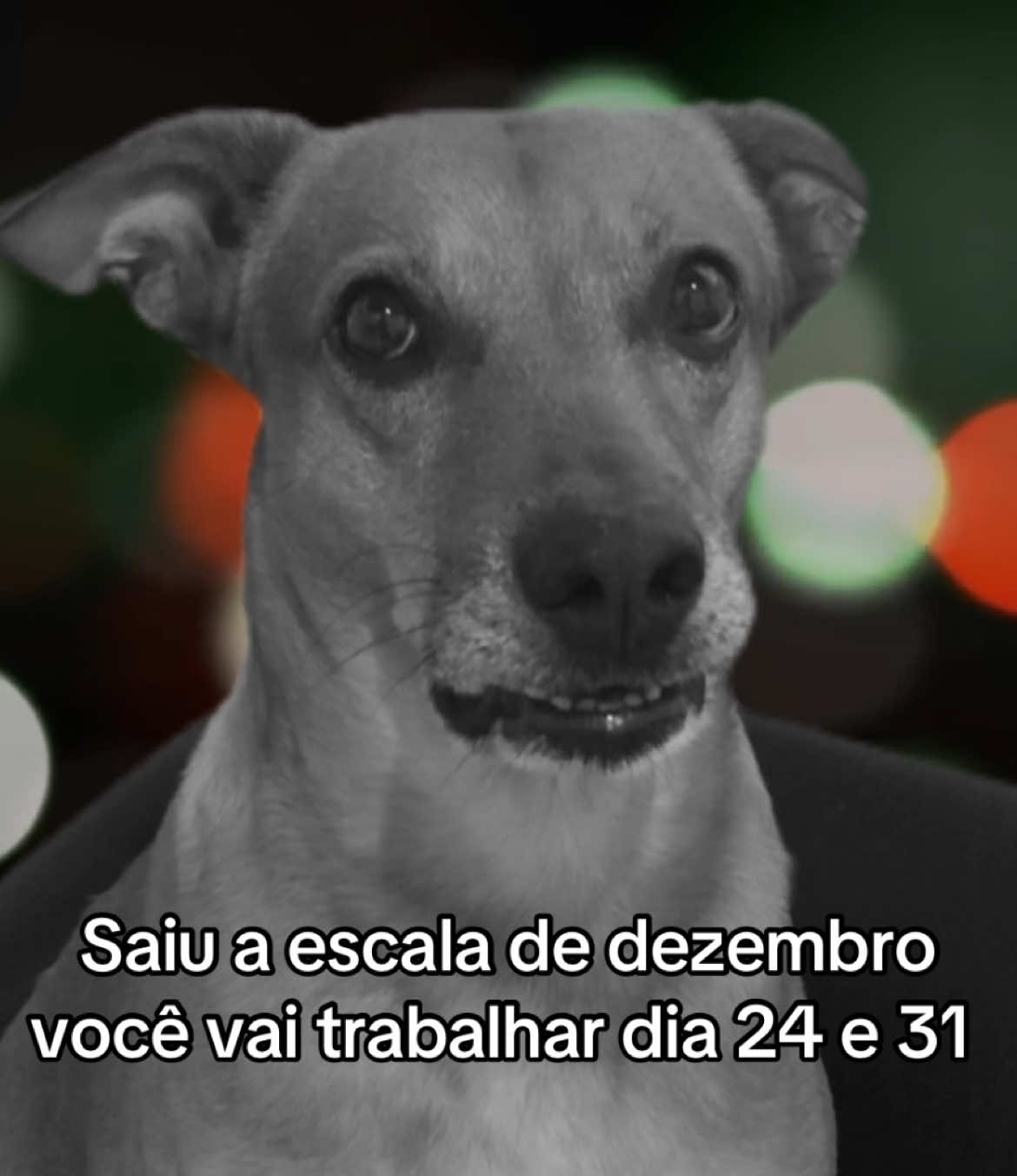 Ainnn não #doguinhosdotiktok 