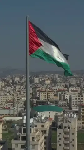 🇵🇸🇵🇸❤️🇵🇸🇵🇸