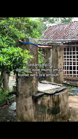 Opo tak adol lemah sak pot kae yo?