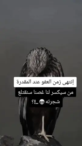 #موسيقى من سيكسر لنا غصنا سنقتلع شجرته ☠ #توماس #thomasshelby #كبرياء #الشعب_الصيني_ماله_حل😂😂 #صوت #الرصاص #pageforyou_🔥 #دعمكم_وتشجيعكم_يشجعني 