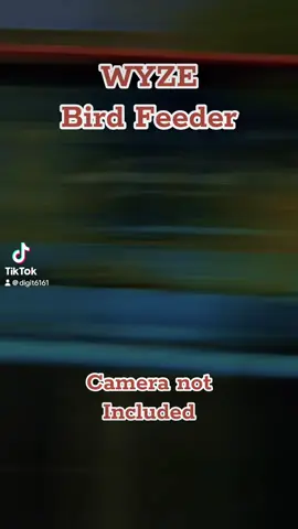 What a fun way to wstch yoir favorite birds! Under $50!  Click the link to grab one now! @Wyze #birdfeeder #birdsoftiktok #birdfeedercam #birdwatching #wyze #christmasgift #tiktokshopblackfriday #tiktokshopcybermonday #tiktokshopholidayhaul #fyp 