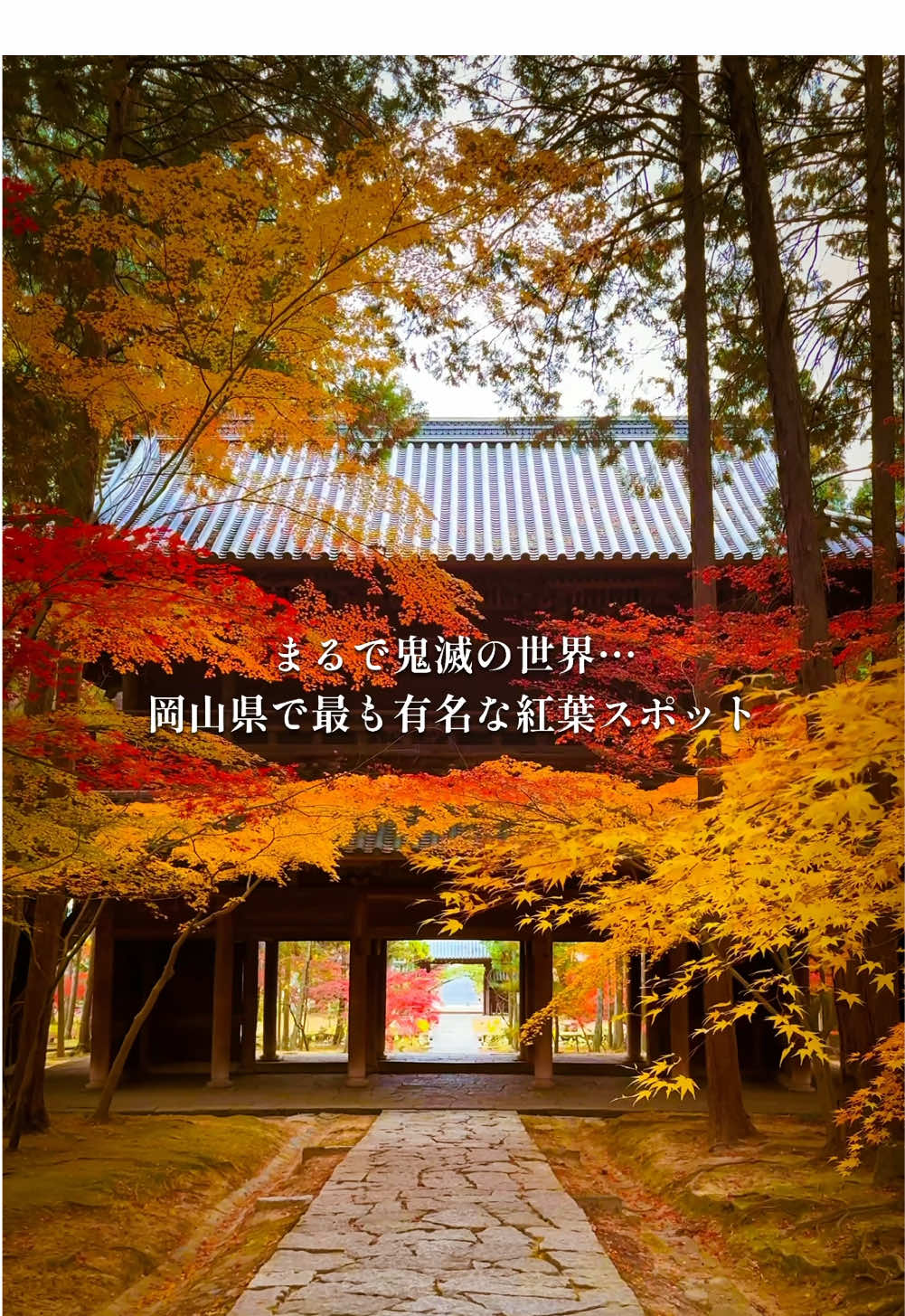 まるで鬼滅の世界。岡山県で最も有名な紅葉スポット🍁『曹源寺』#岡山県 #japan #紅葉 #岡山観光 #岡山を切り撮る人 #曹源寺