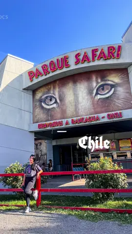 Mini Vlog Parque Safari  Rancagua, Chile 🇨🇱 #chilena #rancaguachile #parquesafarirancagua #safaripark #safari #aventuras #viajesporelmundo #tiktokviajes #paratiiiiiiiiiiiiiiiiiiiiiiiiiiiiiii 