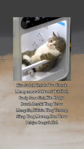 #viralvideo #islamic #bismillahfyp #storytime #arabicsong #fypage #katakata 