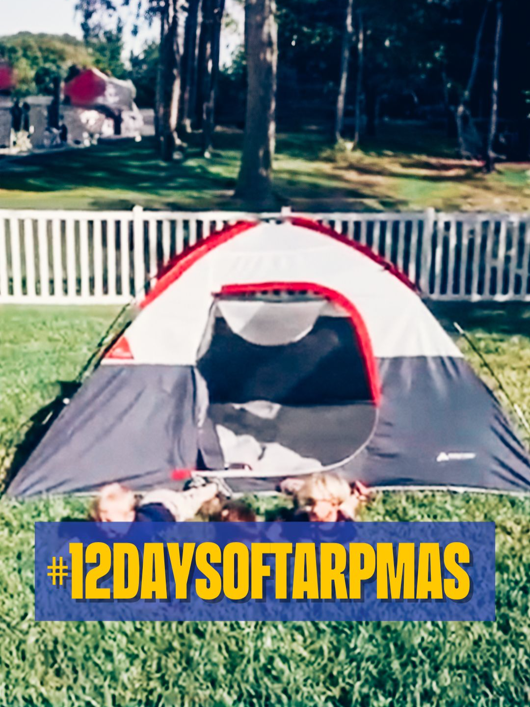 DAY [8]: The BESSSST of Toni and Ryan 2024, Counting down the #12DaysOfTARPmas