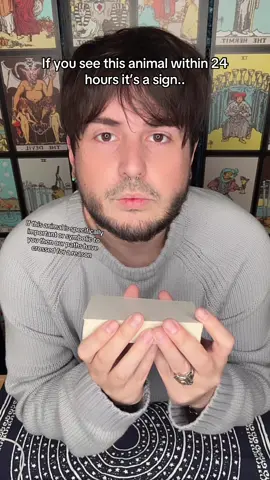 If you see this animal within 24 hours its a sign