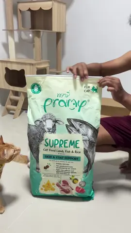 ยกกระสอบ คุ้มมากกก #พรามี่ #ทาสแมว #อาหารแมวพรามี่ #อาหารแมวบํารุงขน 