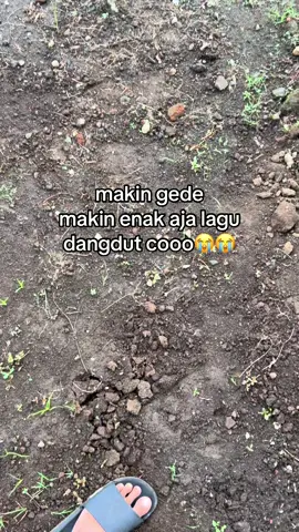 ada yng sama kahh?😭