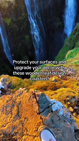 Protect your surfaces and upgrade your decor with these wooden leaf design coasters! Which drink would look best on these beauties? #kitchengadgets #cupcoasters #kitchendecor#decor #rustic #rusticdecor #woodentree #woodencoaster #hotplate #coaster #musthaves #nextlevel  #kitchendecor #KitchenHacks #fyp #spotlightfinds #functional #kitchen 