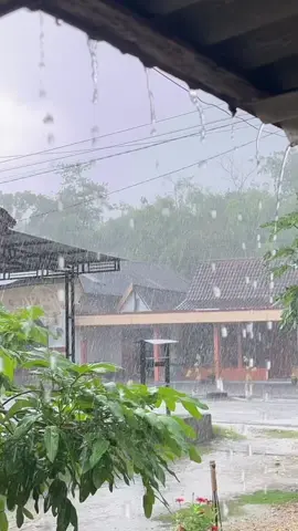 SUARA HUJAN DI SIANG HARI UNTUK TERAPI TIDUR DAN RELAX#aboutngawi 