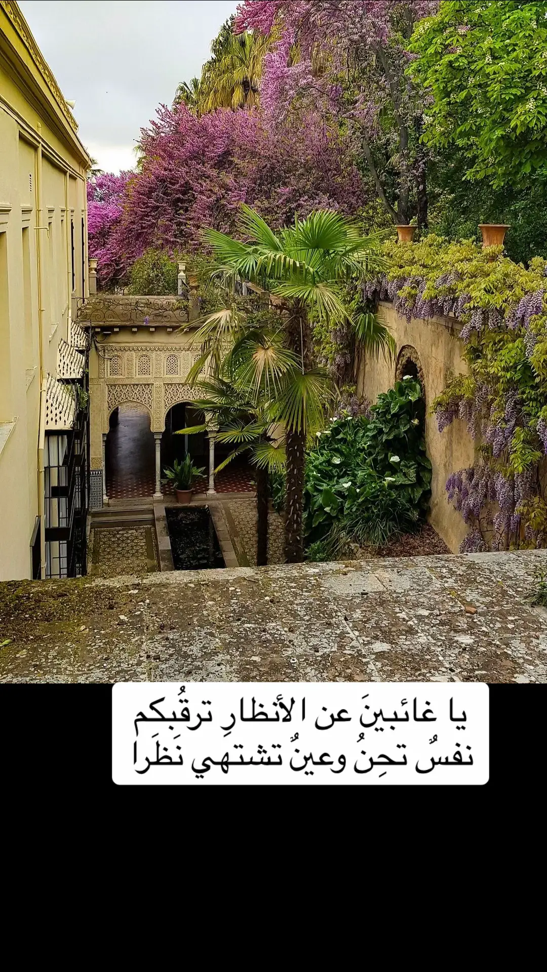 #قصايد_شعر_خواطر_شيلات_الاكسبلور#قصر_الحمراء_الأندلس#غرناطة#