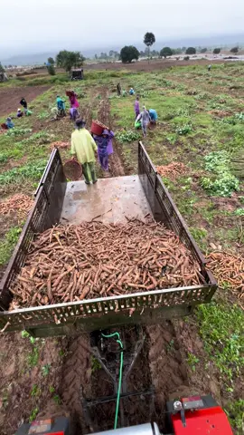 #xuhuongtiktok #kubota #xuhuong2024 #xemay mứa thúi đất 🥺🥺