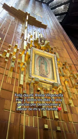 Feliz 12 de Diciembre ❤️🙏🏻🫶🏻  #lavirgen #lavirgendeguadalupe #labasilicadeguadalupe #basilicadeguadalupe 