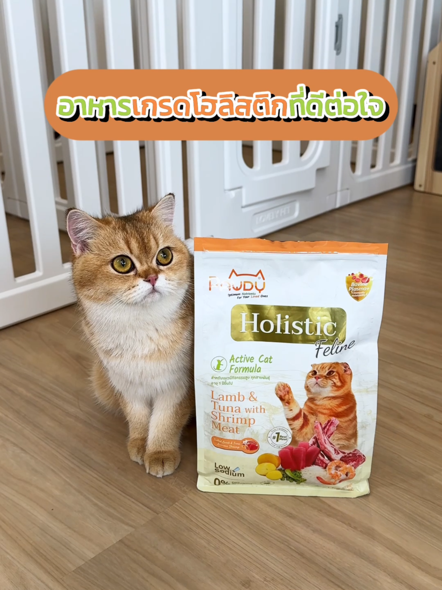 อาหารเกรดโฮลิสติกที่ดีต่อใจ และดีต่อไตน้องแมว #pawdyholistic #พอดี้ #พอดี้อาหารสุนัขที่พอดีสำหรับลูกของคุณ #อาหารแมว #อาหารเม็ดแมว  #อาหารแมวไม่เค็ม #แมวขนร่วง