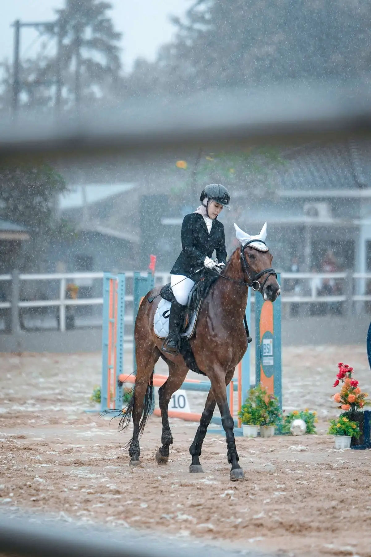 Ma Big Boy 🐴 #berkuda#equestrian#equestrianlife#berkudaindonesia#cewekuda#horseriding#showjumping#horseridingcompetition#showjumping#lovehorse#berkudaperempuan#jumpinghorse   