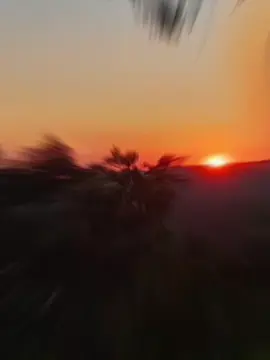 #salsa  #salsaparadedicar #fyf  #amores #amor #atardecer #salsaromantica 