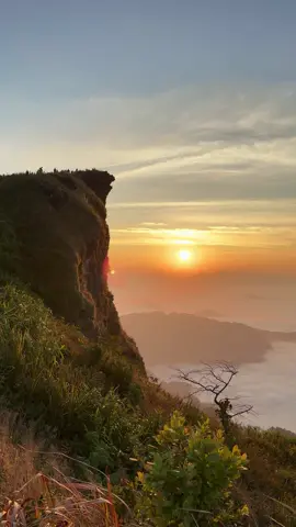 แสงแรกของวันจากยอดภูชี้ฟ้า ตัดกับทะเลหมอกที่งดงามอย่างลงตัว #ภูชี้ฟ้า #ทะเลหมอก #แสงแรก #เที่ยวเชียงราย #ธรรมชาติสวยงาม