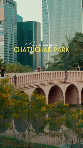 An evening in a park 🌿 #cinematic #filmmaker #sonyalpha #bangkok 