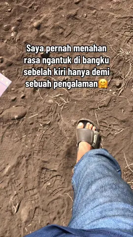 Mencari pengalaman bukan hal yg mudah👍#fyp#servolintasraya #PTBA #ptsce#stl1285 