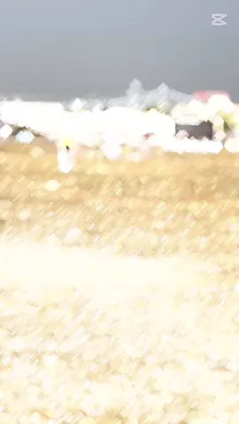 #foryoupage #viraltiktok #pakistanzindabad #fyp #cricketlover #hamza#ahsan#matchday #@salman Khan♥️ #@Ch. Qadeer #@Faisoo04 