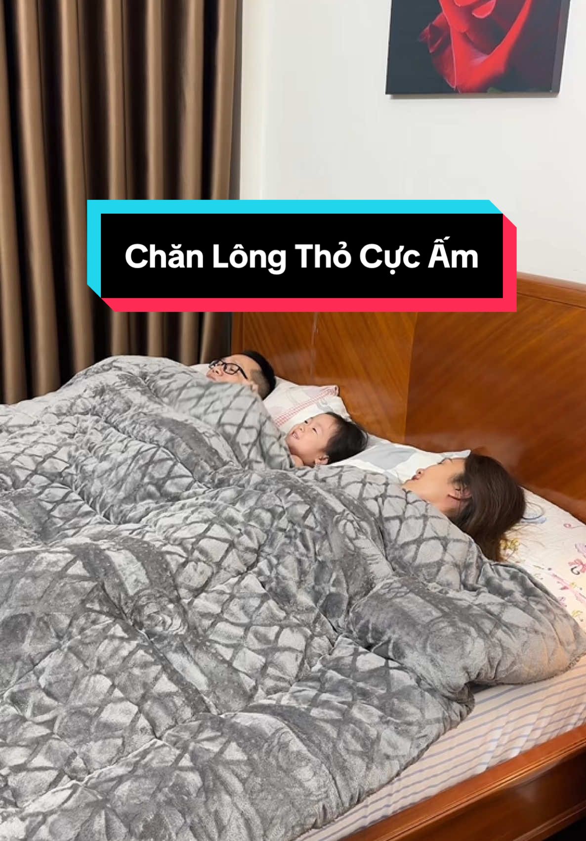 Lạnh thật rồi các bác ơiiii, đắp con Chăn lông thỏ này siêu ấm luôn 👍 #chanlongtho #chancocolongtho #muadongkhonglanh #muataitiktokshop🛍 