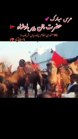 #عرس  مبارک🚩 #حضرت چن  پیر بادشاہ 🚩#پنڈوریاںشریف #اسلامآباد#allfriends #🥰🥰🥰🥰❤️❤️❤️  @Ibraheem Satti @💫جہانزیب❤ بھٹی 💥 @🦅شہنشاہ بھٹی🚩 @Muhammad Awais @☠️ سائیں 👑 بادشاہ 🏴‍☠️ 