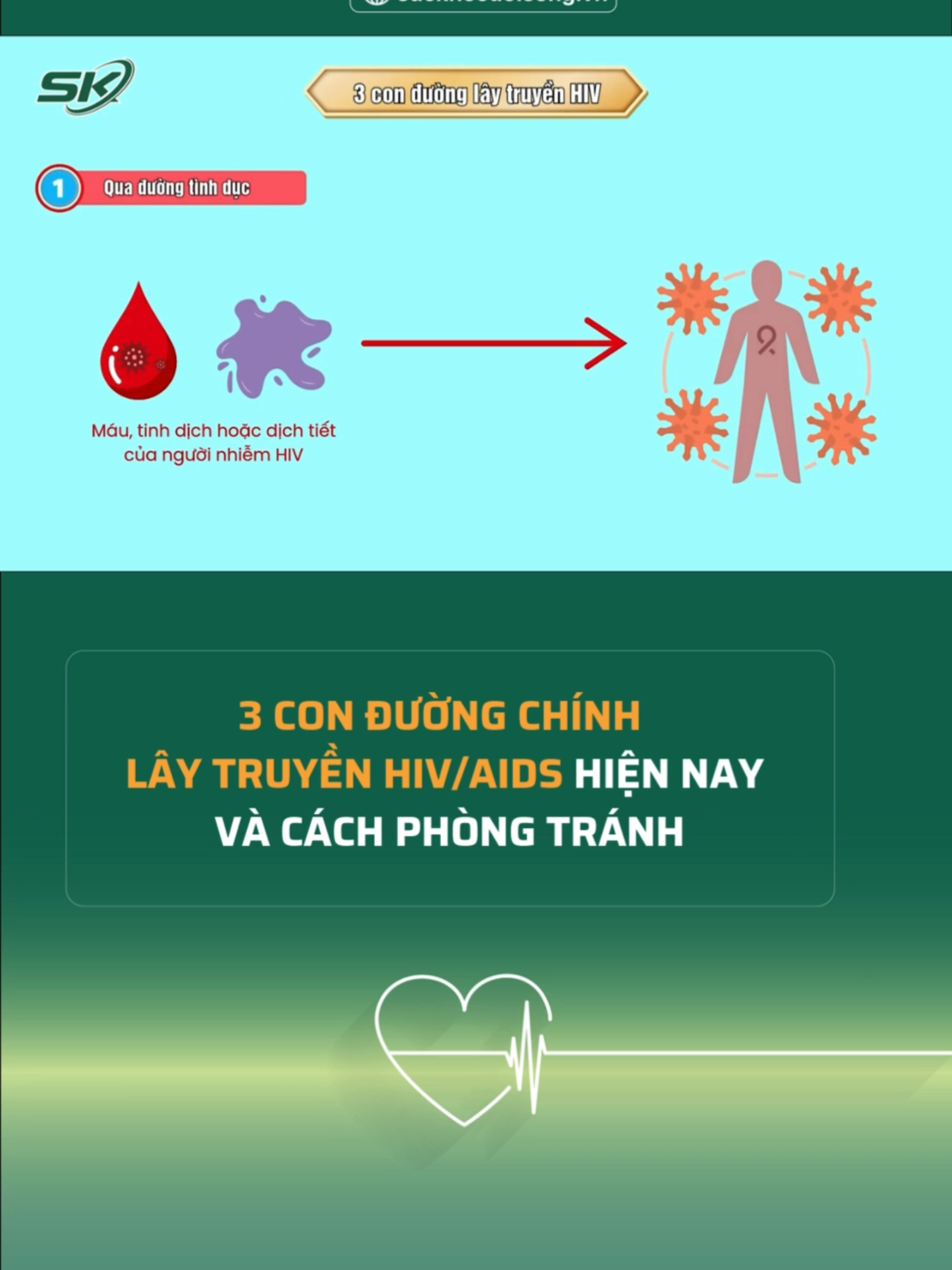 3 con đường chính lây truyền HIV/AIDS hiện nay và cách phòng tránh #suckhoedoisong #thinhhanh #xuhuong #trending #fyp #tintuc #viral #giaitri #foryou