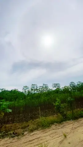 Otw tokke