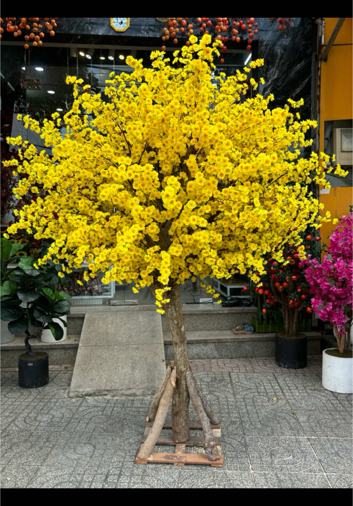 Lên mẫu cây hoa mai giả cao 2m5 😍#shophoasaigon #shophoabinhtan #trangtri #decor #trending #viral #xuhuongtiktok #xuan2025 