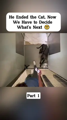 He Ended the Cat, Now We Have to Decide What's Next 🥺-part 1#dog #rockykanaka #doglove #foruyou #forupage #doglovers #viral_video #trendingvideo #fyp #viraltiktok