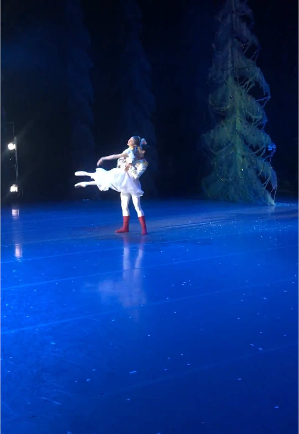 ricordi di Schiaccianoci 2019🩰 #nutcracker #ballet #accademiateatroallascala #point #foru #ballerina #dancer #schiaccianoci 